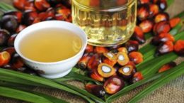 Img como evitar aceite palma hd