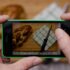 Img influencers alimentacion seguir hd