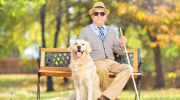 Senior blind gentleman sitting on a bench with his dog, in a par