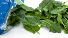 Fresh spinach out of the plastic package.