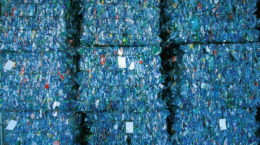 Plastico reciclaje