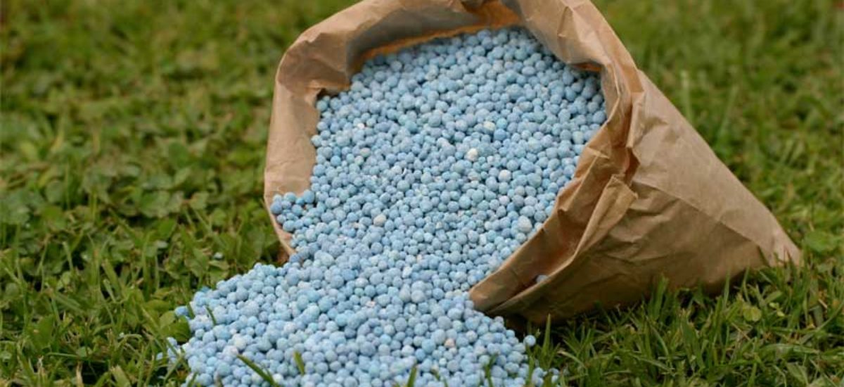 Tipos de fertilizantes | Consumer