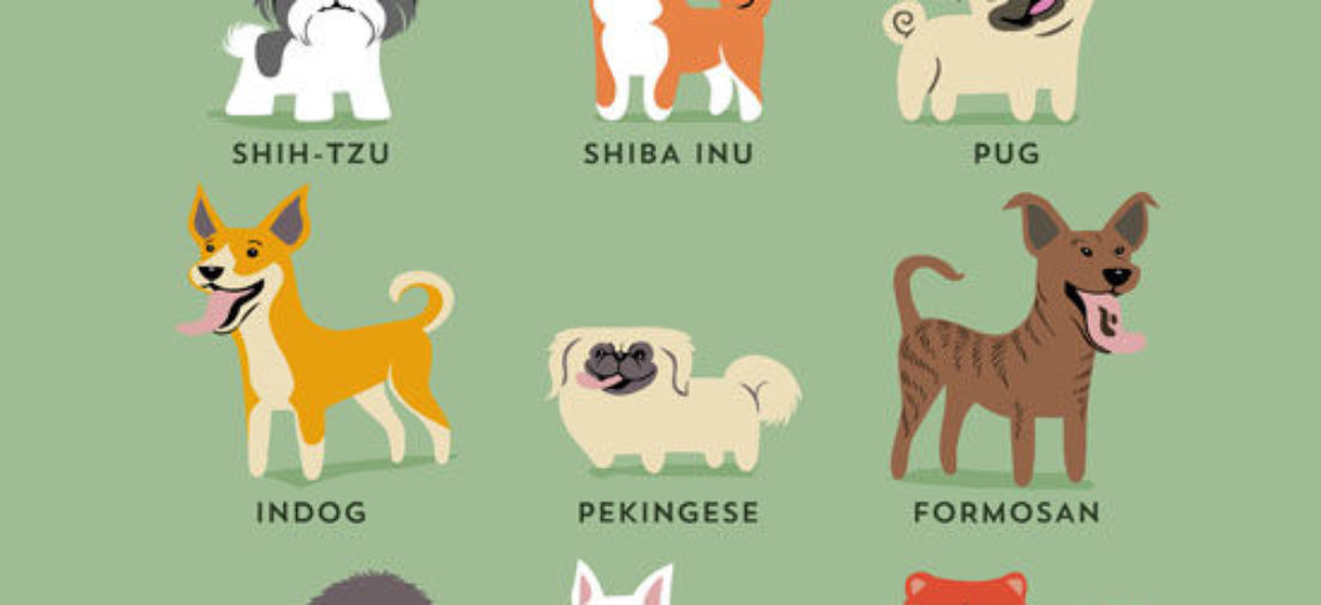 Cuántas razas de perros en el mundo?