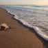 Plastico mar basura contaminacion playa