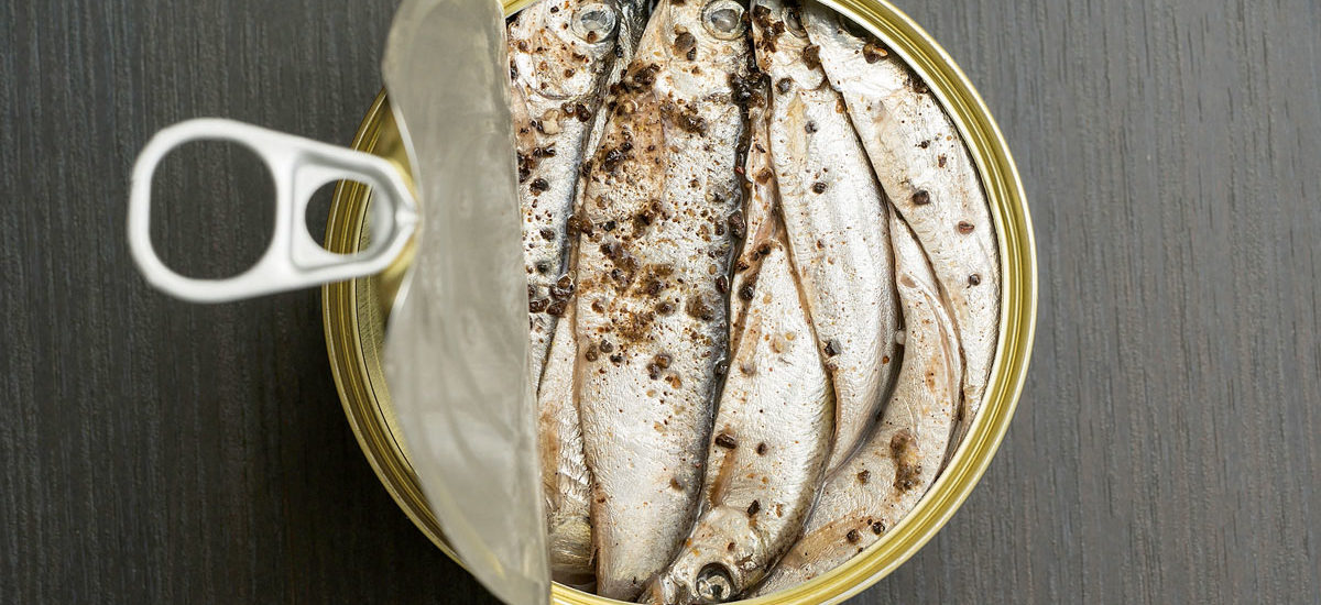 sardinas lata conserva pescado