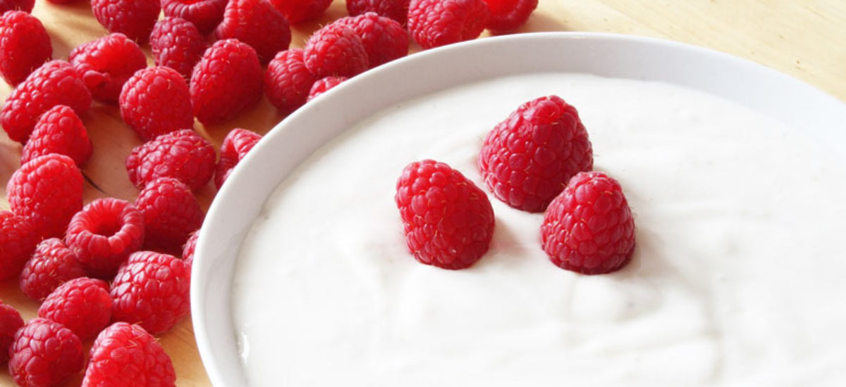 yogur natural fruta