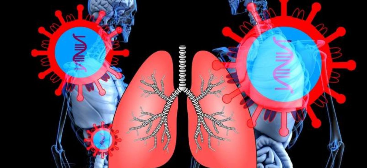 sars-cov-2 pulmones