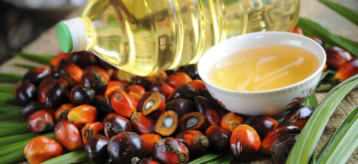 Img aceite palma salud hd