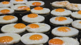 huevos plancha