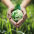 ecologia sostenibilidad