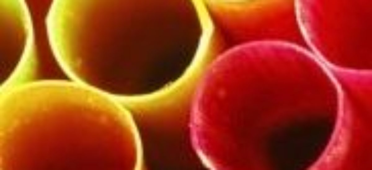 img_tuberias-coloreslistado Img tuberias coloreslistado