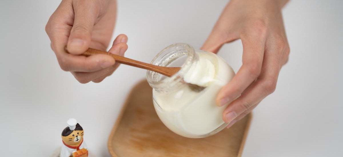 probiotico kefir yogur