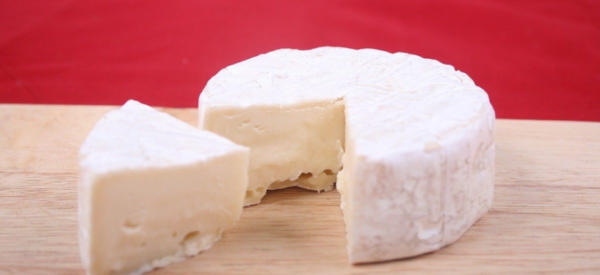 queso cantidad de grasa