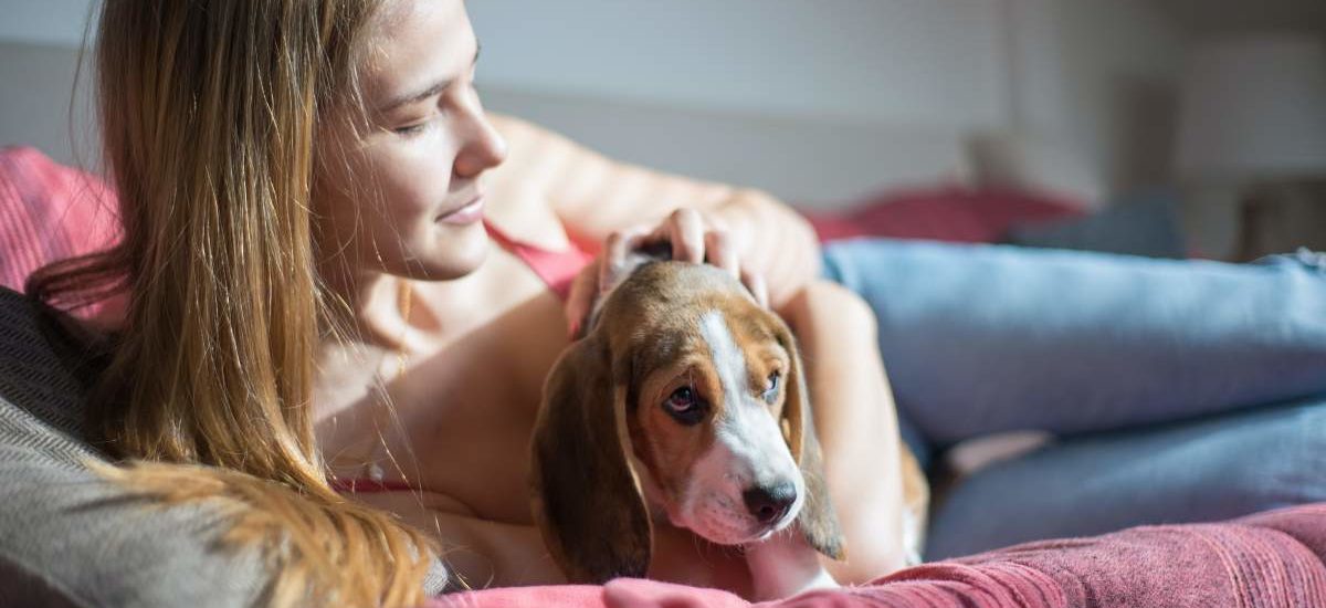 curso para tener perro