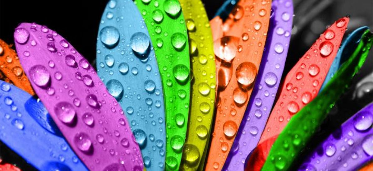 img_petalos-colores Img petalos colores