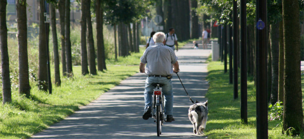 img_abuelo-bici-4 Img abuelo bici