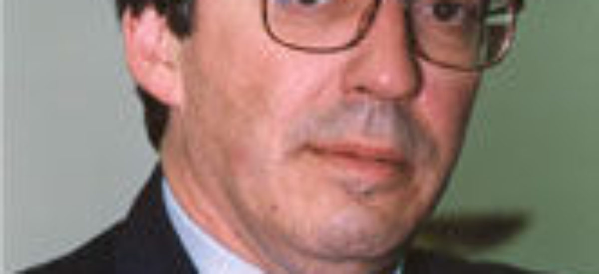 img_guijarro Img guijarro