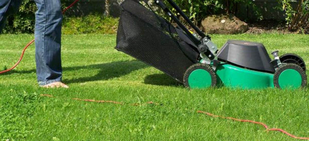 Img cortacespedelectrico