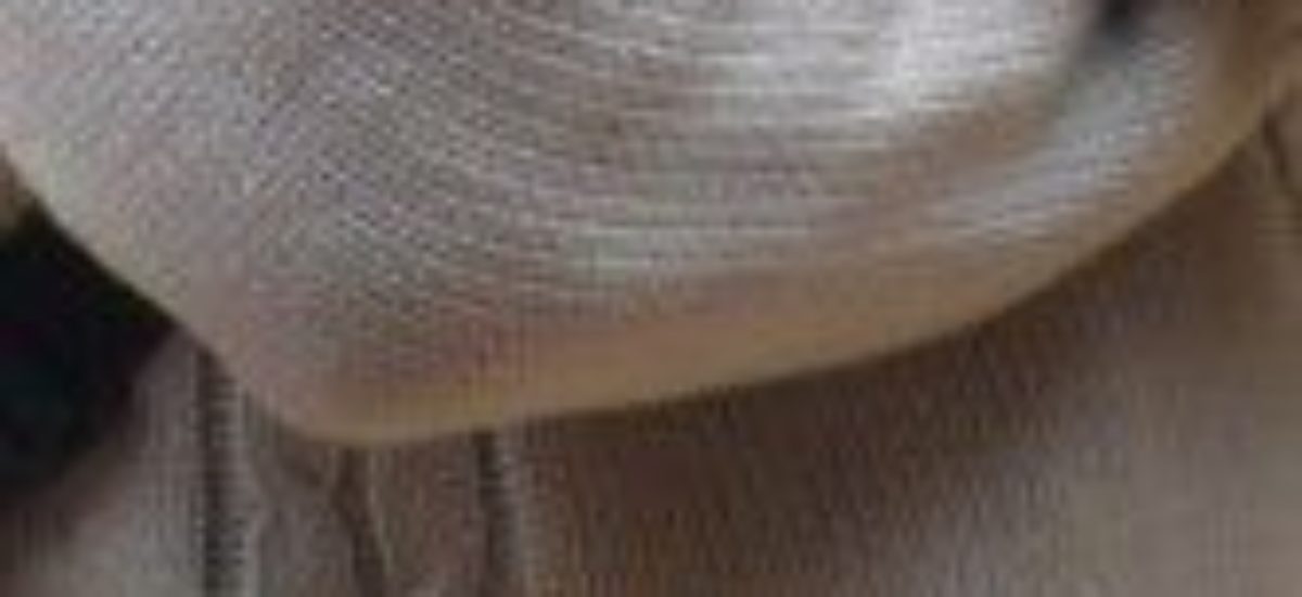img_josemariarey Img josemariarey