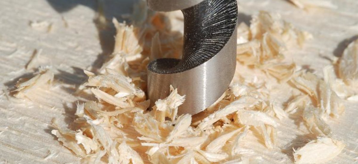 img_broca-madera Img broca madera