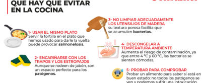 bacterias cocina