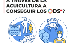 acuicultura y ods