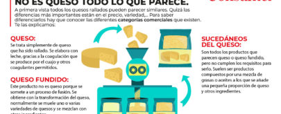 sucedáneos del queso rallado