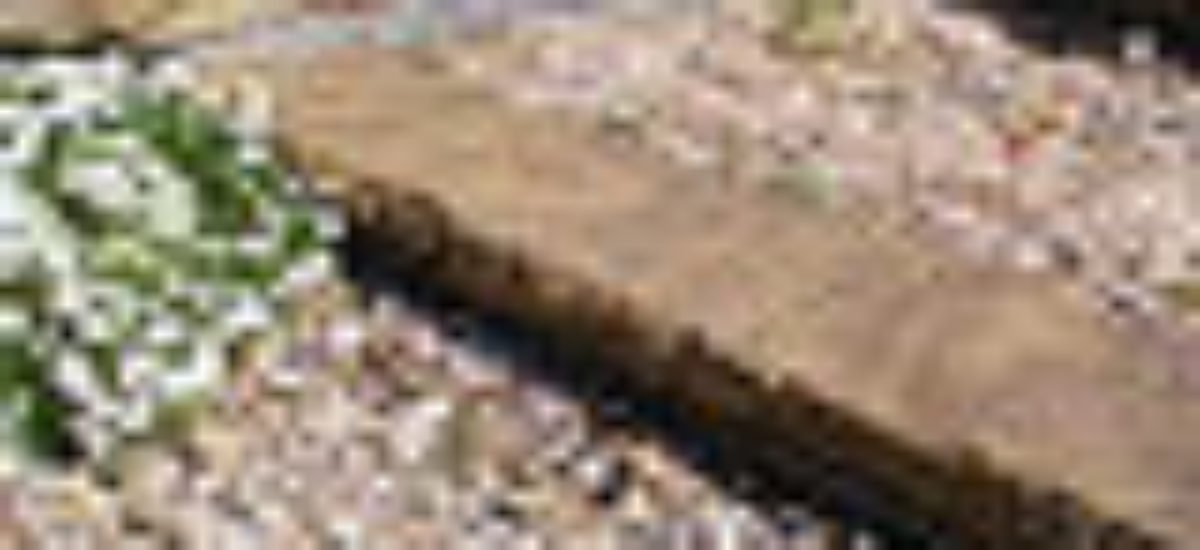 img_gravap Img gravap