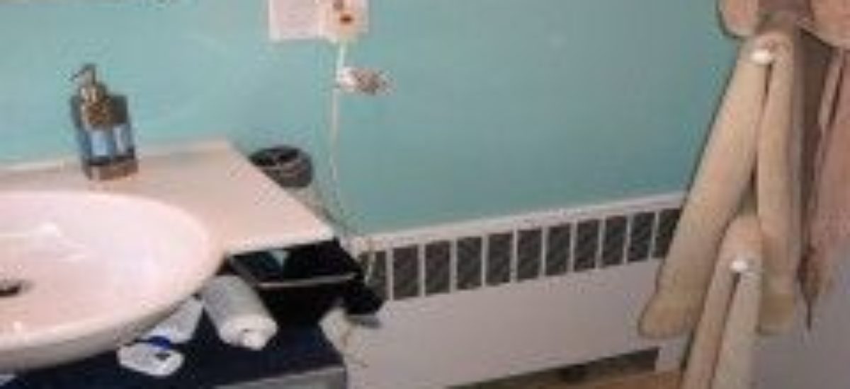 Img radiador banonarticulo