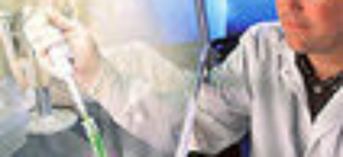 img_virusp-3 Img virusp