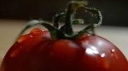 Img tomata listado