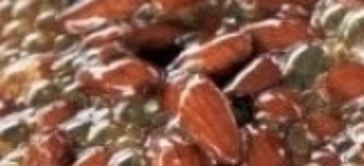 Img garrapi ada list