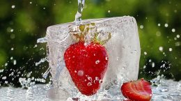 se pueden congelar las fresas