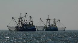 Pesca sostenible