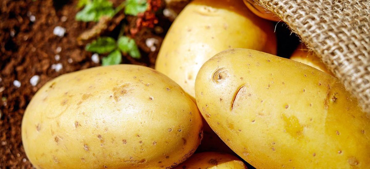 por qué no comer patatas crudas