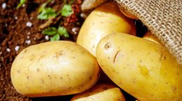 por qué no comer patatas crudas