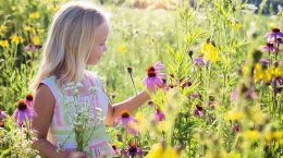 infancia flores naturaleza