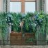 Fósforo en las plantas