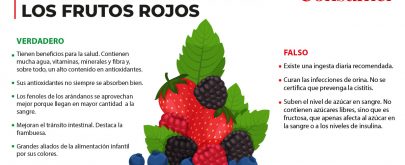 mitos frutos rojos