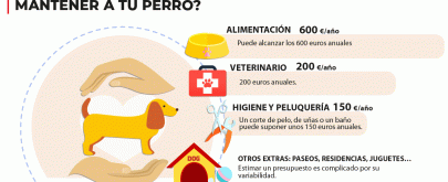 coste de mantener un perro