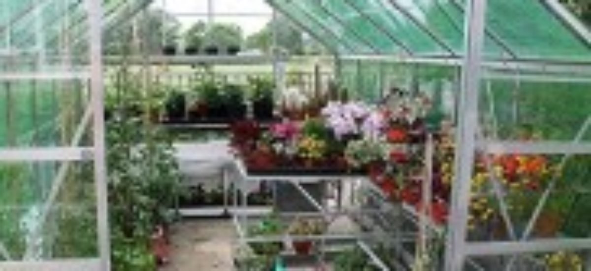 img_instalar-invernadero.list_ Img instalar invernadero list