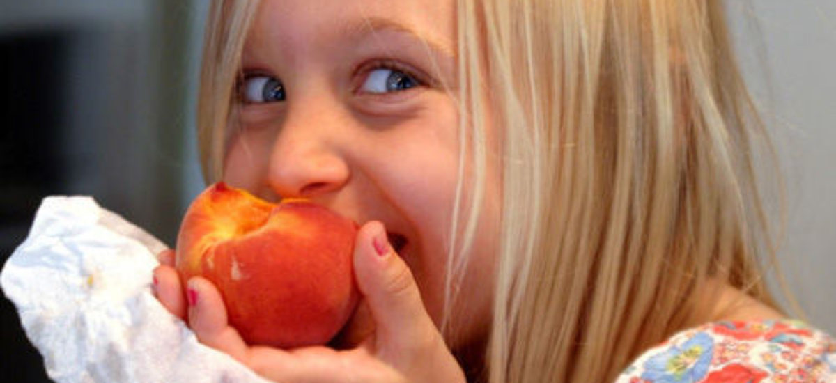 img_melocoton Img melocoton