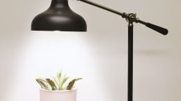 Plantas y luz artificial
