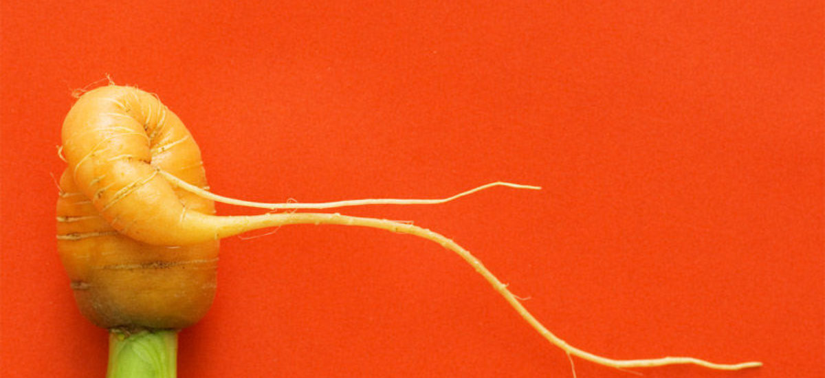 Img zanahoria deforme