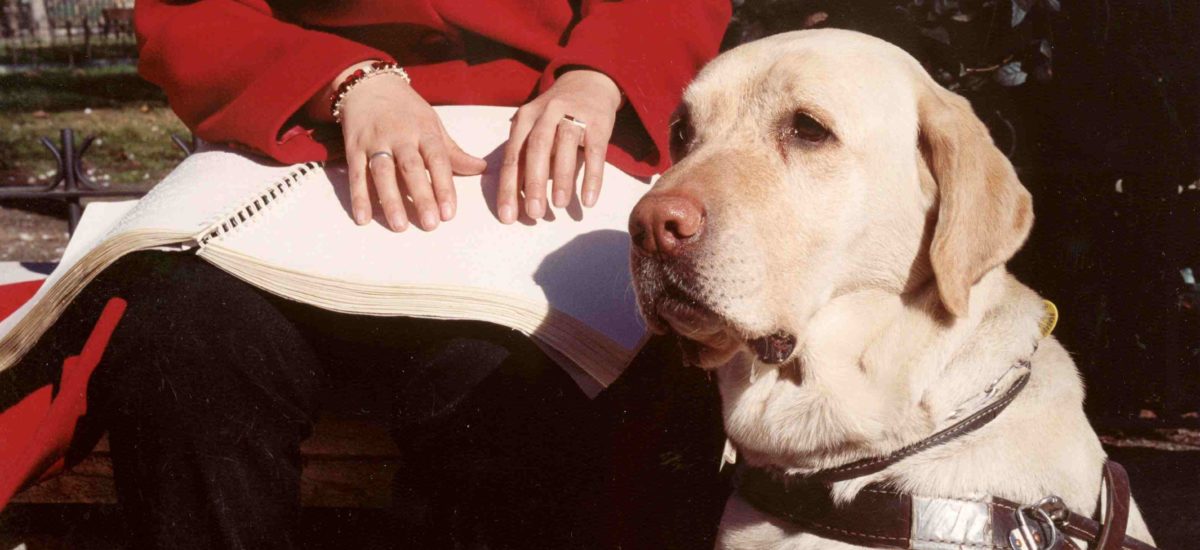 img_brailleyperroguia Img brailleyperroguia