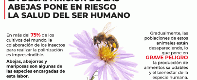 abejas y salud