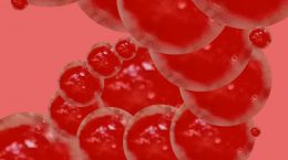 Sangre, homoglobina, anemia