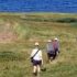 Img excursionlistadopg
