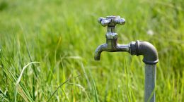 sequía en España cómo ahorrar agua