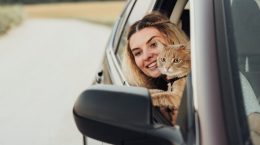 viajar con gato en coche